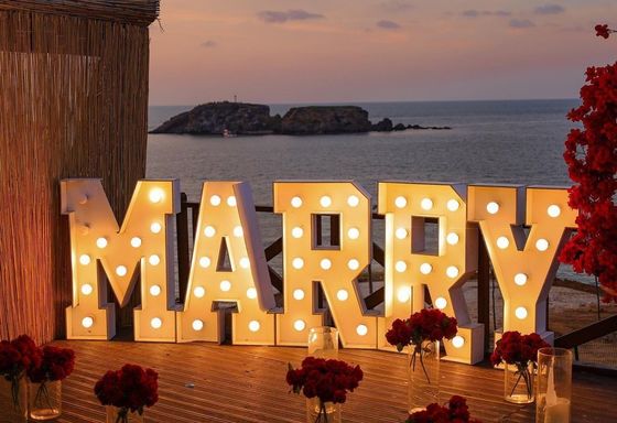 Enchufe de luz de neón personalizado para la fiesta de bodas ¿Te casarás conmigo?