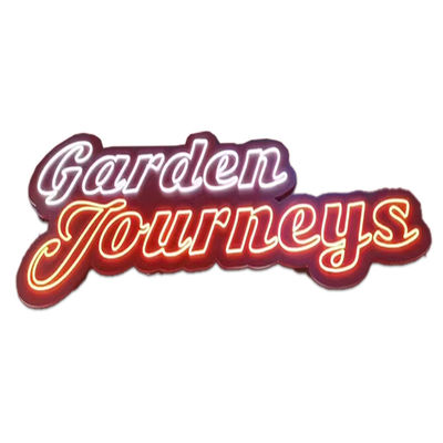 Logotipo de la tienda personalizado Nombre de la señal de neón Letras de la señal de luz de neón exterior tamaño personalizado