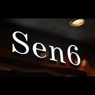 Publicidad acrílica 3D LED caracteres plásticos luminosos para el logotipo de palabra iluminado frontal