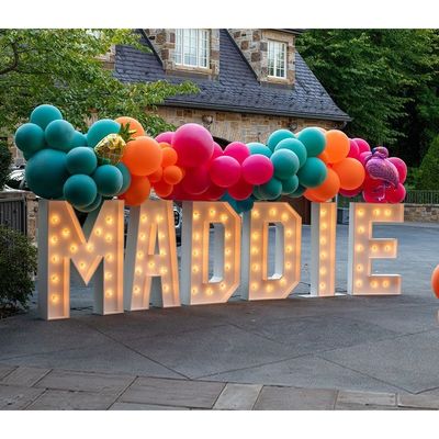 12V Voltado de entrada Grandes letras 3D iluminadas Marry Me LED Marquee Signo para la boda
