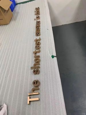 Advertencia de oro 3D LED Signos electrónicos para el logotipo de la tienda