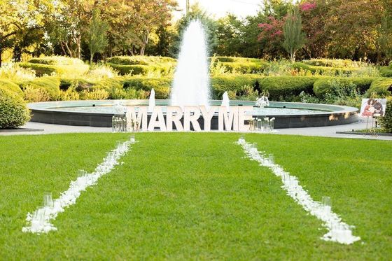 Propuesta de matrimonio cartel de neón carpa de luz letras de decoración