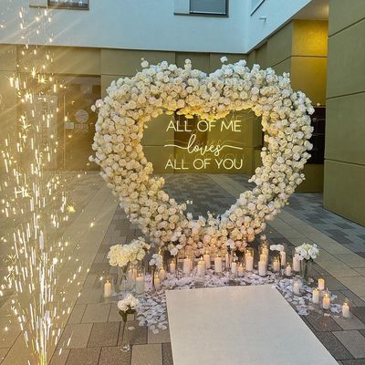 Acero inoxidable ¿Te casarás conmigo Signo de neón Signo de decoración de la boda Marquee ilumina 4 pies de letras