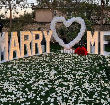 Acero inoxidable ¿Te casarás conmigo Signo de neón Signo de decoración de la boda Marquee ilumina 4 pies de letras