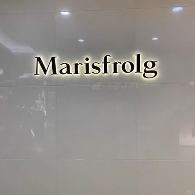 Cartelería de letras LED personalizada 3D de acero inoxidable de metal de la tienda de la parte delantera de la señal de la empresa de logotipo de la carta del canal